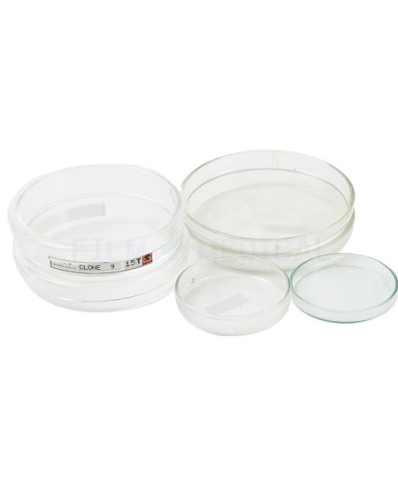 Glass Petri Dishes Priced Individually 